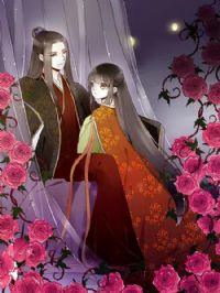 �����ද̬��