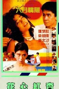 ���ĺ���