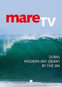 ��ƽ���ϵĵϰ�