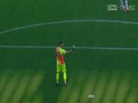 ������� ��������VS�������� 20250215