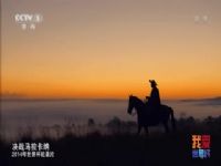 2014�����籭�ٷ���¼Ƭ hdtv